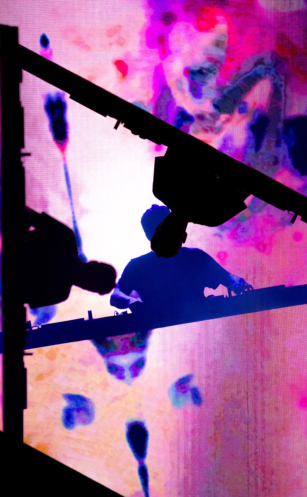 2024 Somewhere Festival gallery photo 62