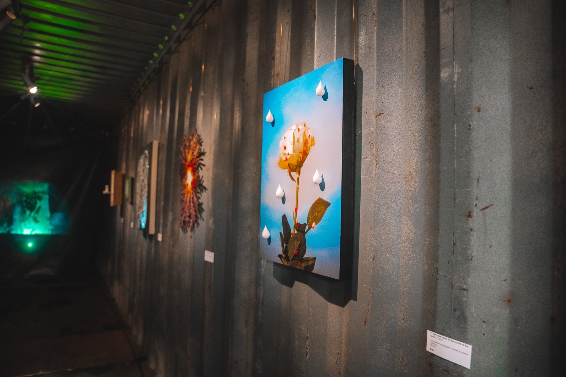 Somewhere Festival visual art gallery photo 11